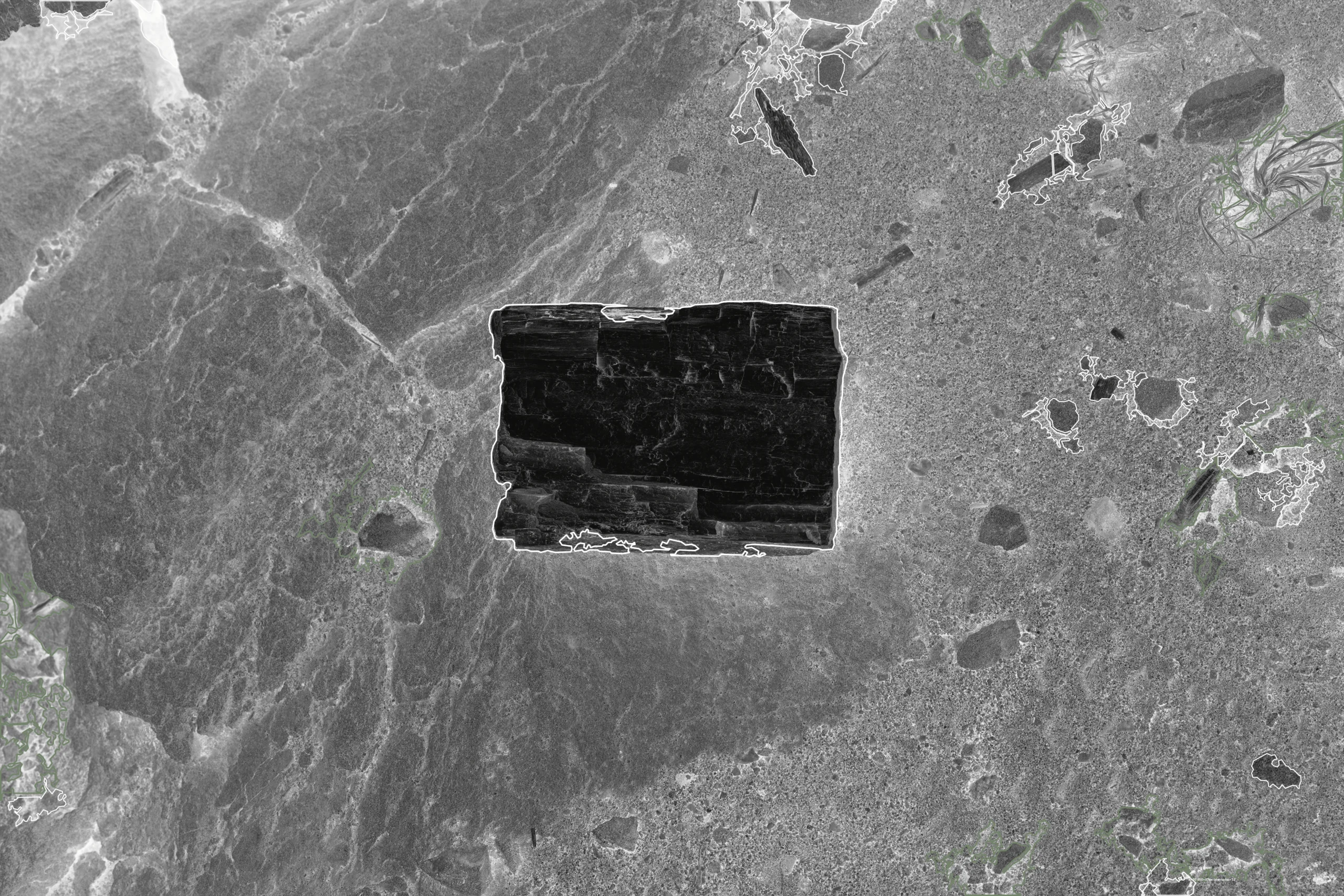  Los dos troncos están negros porque ya son piedra. O sea que la película está separando lo vivo de lo mineral. 