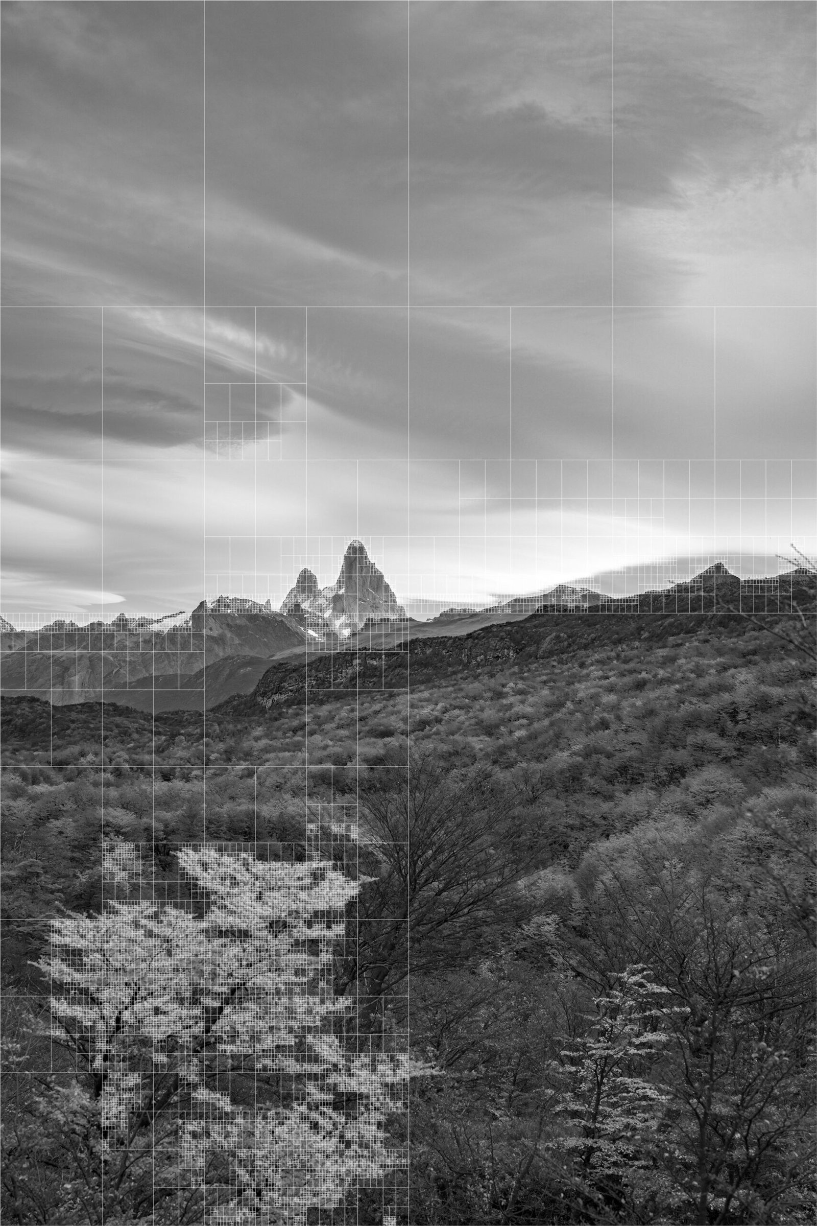 Sendero al Glaciar Huemul.
Deconstruccion del espacio. QUADTREE subdivide la imagen por varianza estadística.
2025 /2026